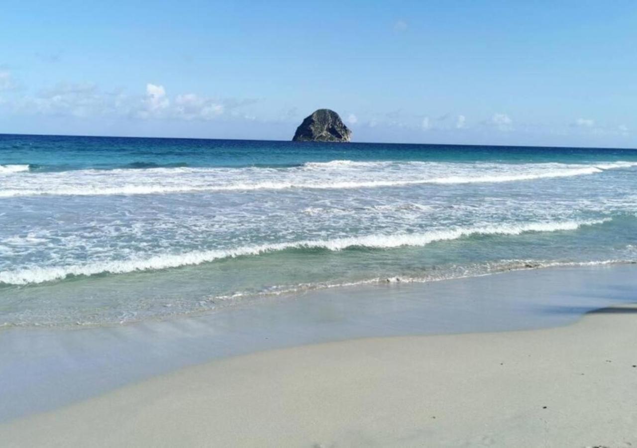 Villa Cocotier A 50 Metres De La Plage Le Diamant Eksteriør bilde