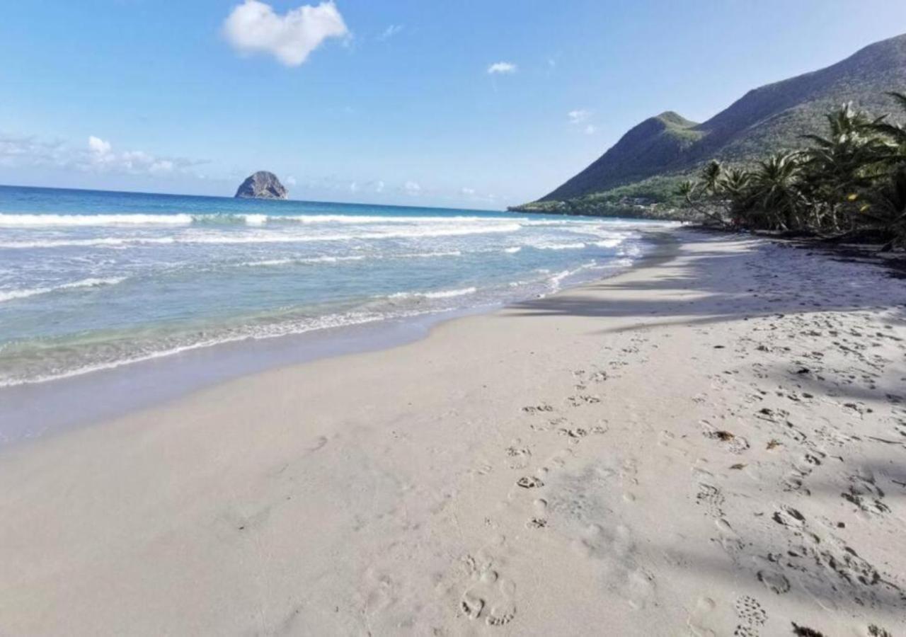 Villa Cocotier A 50 Metres De La Plage Le Diamant Eksteriør bilde
